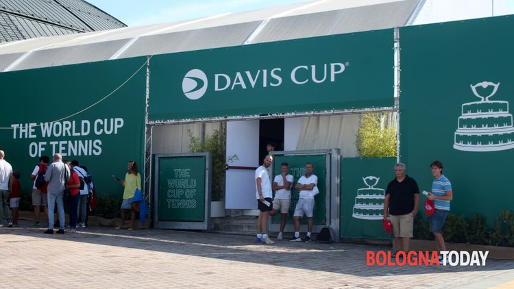 Davis Cup