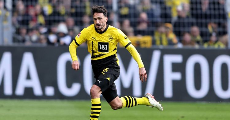 Hummels