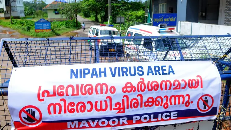 Virus Nipah