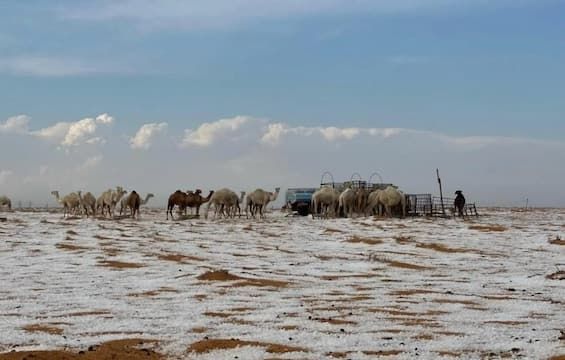 Neve nel deserto dell'Arabia Saudita