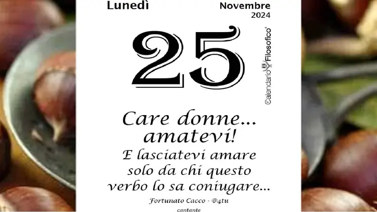 25 novembre