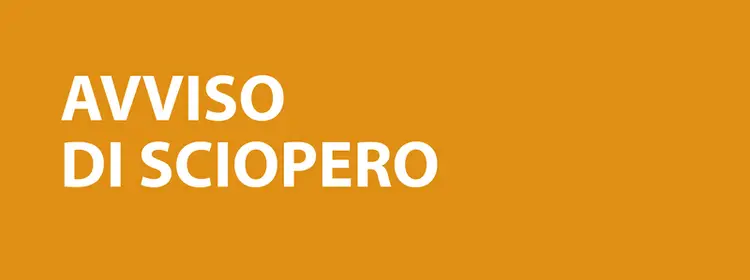 Sciopero 29 novembre 2024