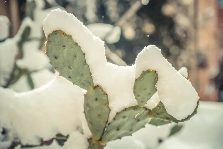 Solstizio d'inverno 2024